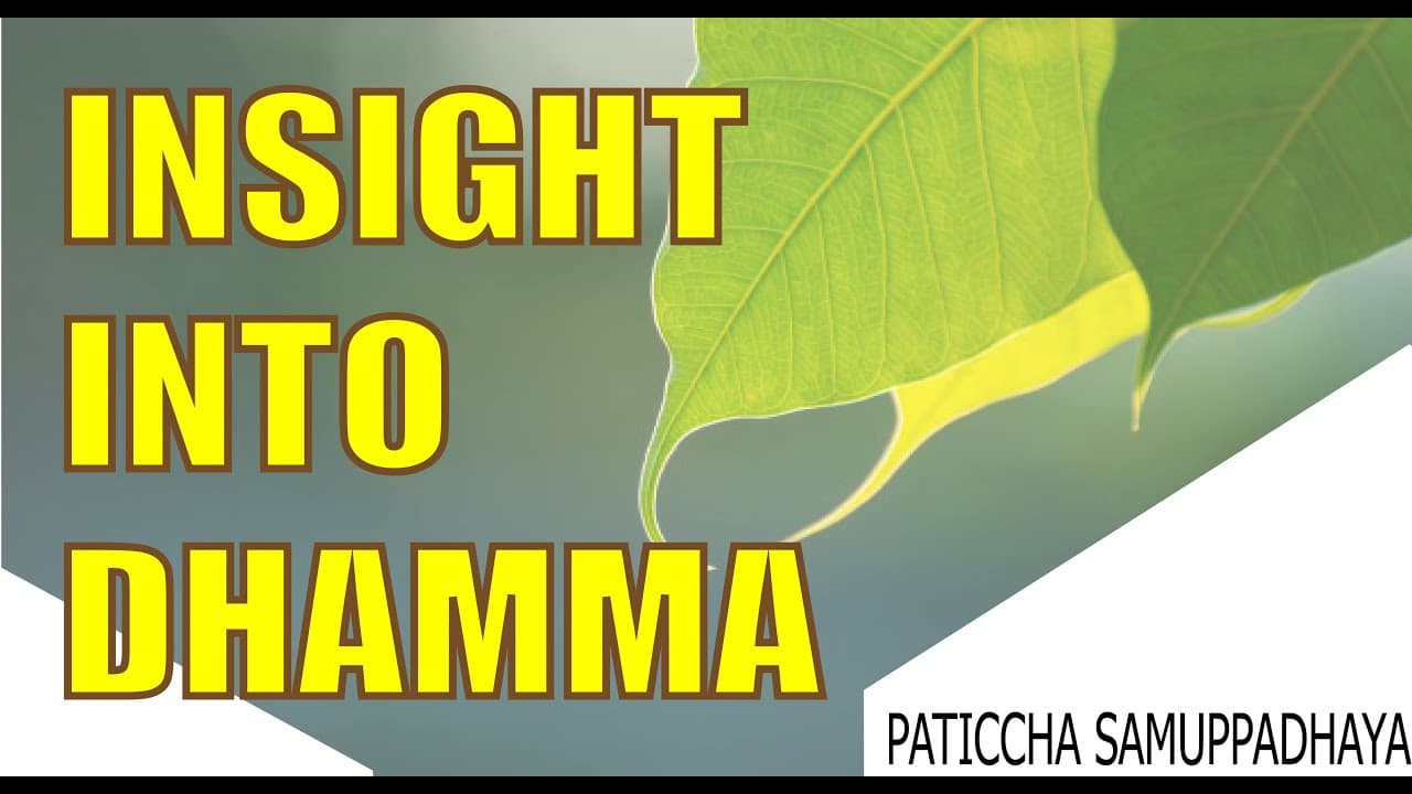 Patichcha Samuppada | Insights into Dhamma