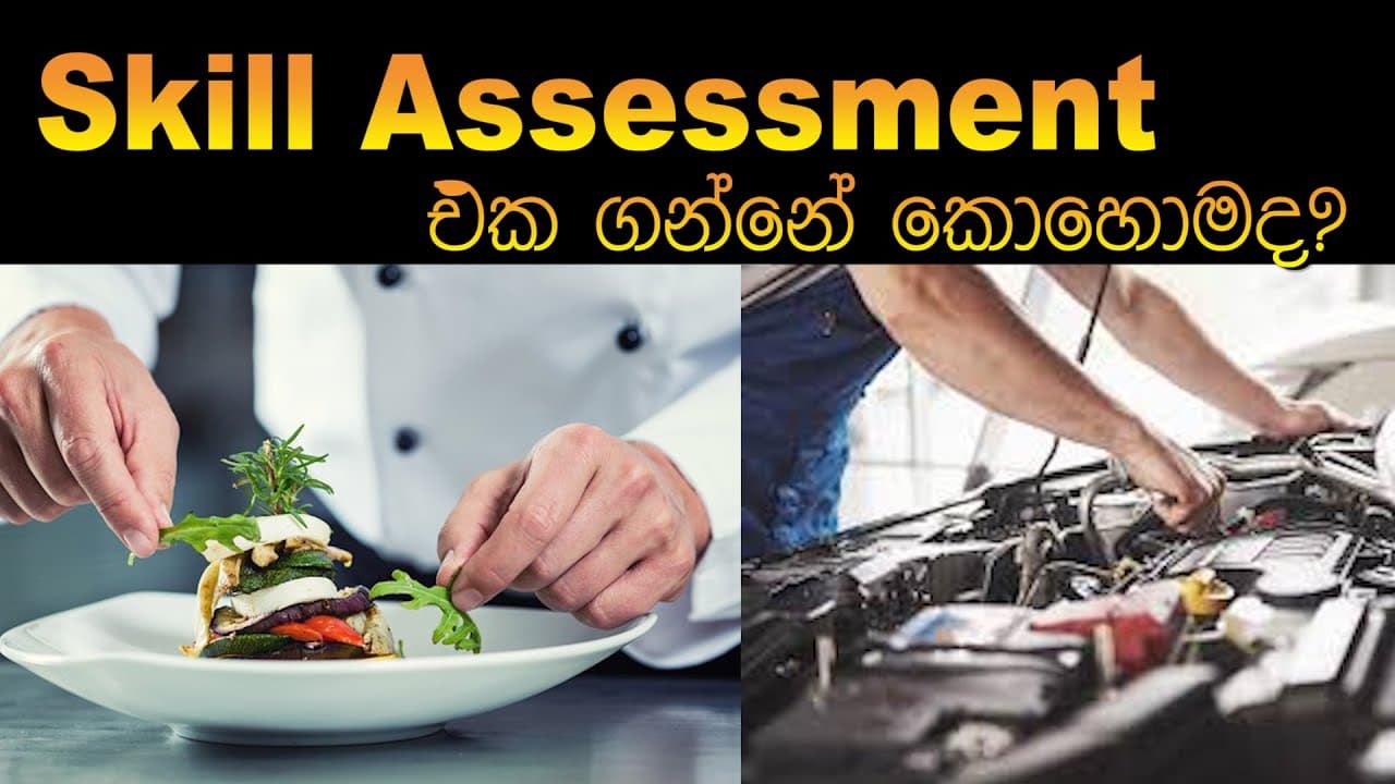 How to get your skill assessment? | Australian Migration For You