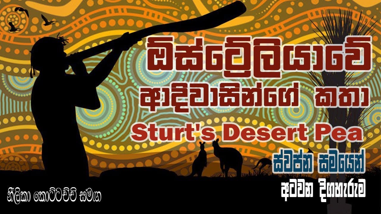 ඕස්ට්රේලියාවේ ආදීවාසින්ගේ කතා ස්වප්න සමයෙන් හයවන දිගහැරුම | Strut's desert pea