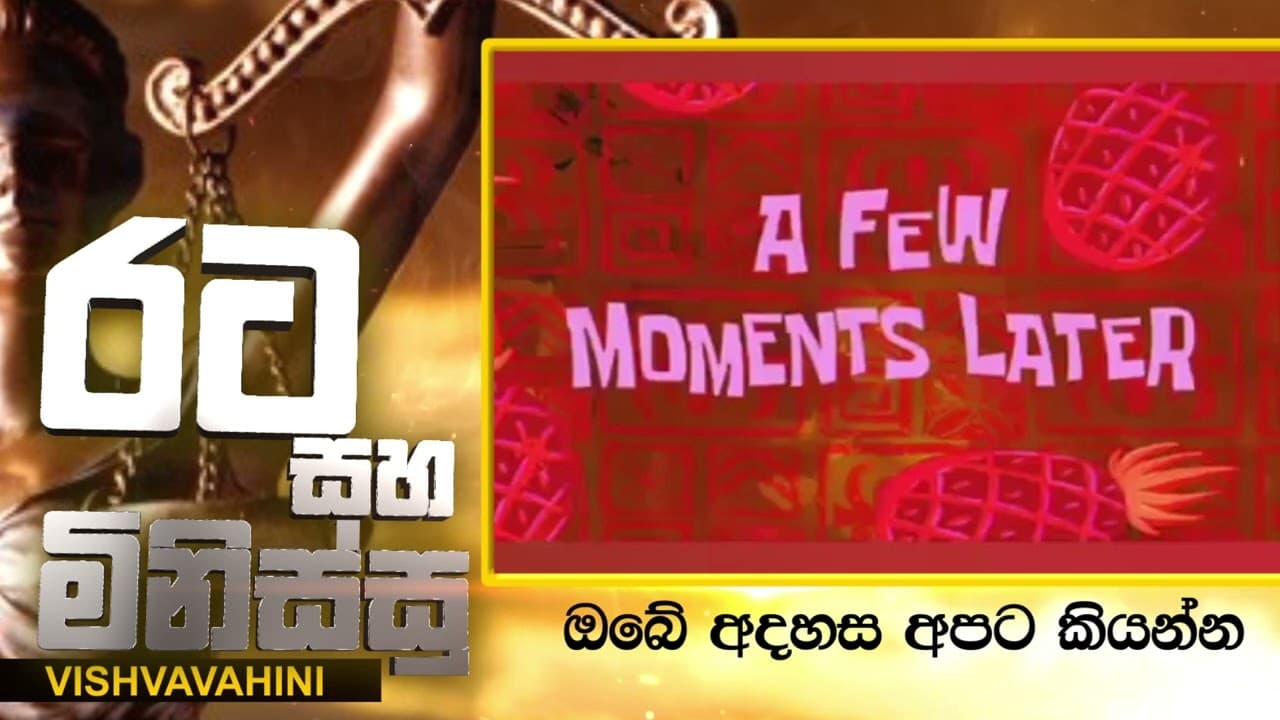 මහින්දගේ ආණ්ඩුව ඉල්ලපු අයට උන් දේ | Vishvavahini TV