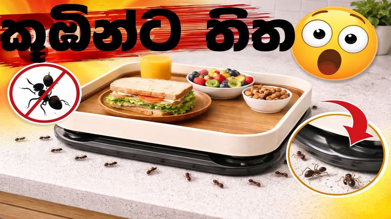 කූඹියන්ට තිත – Ant-Proof Tray | vishvavahini TV
